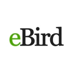 ebird by cornell lab android application logo